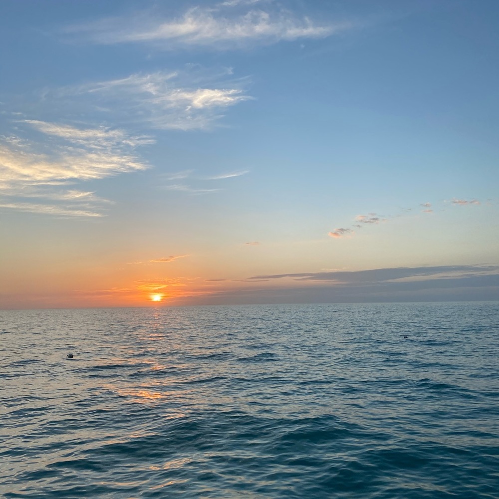 Meet your Posher, Adele